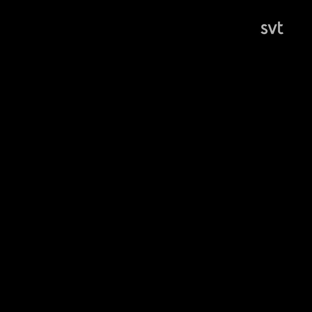 Se det oväntade björnmötet: ”Exalterade”